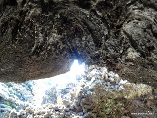 otta Chiovazzi-02-11-2020 12